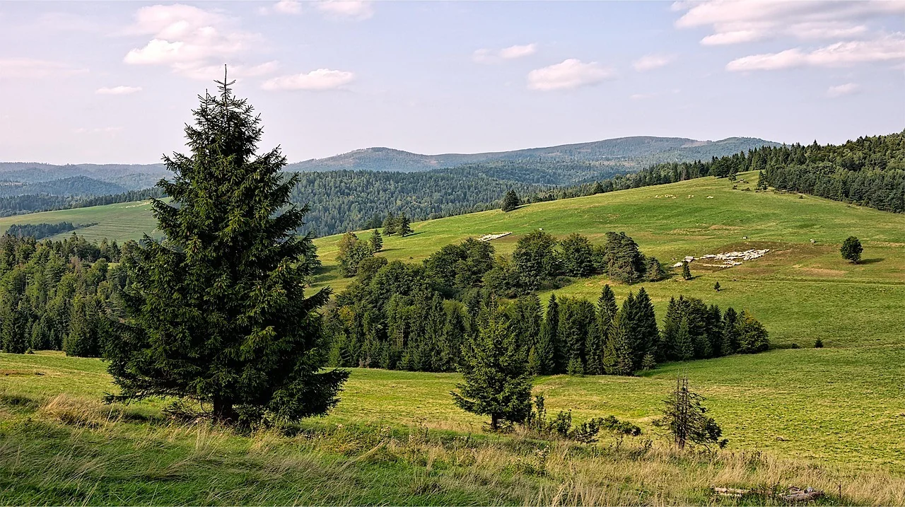 K005-02__beskidy_czantoria-i-koniakow_01