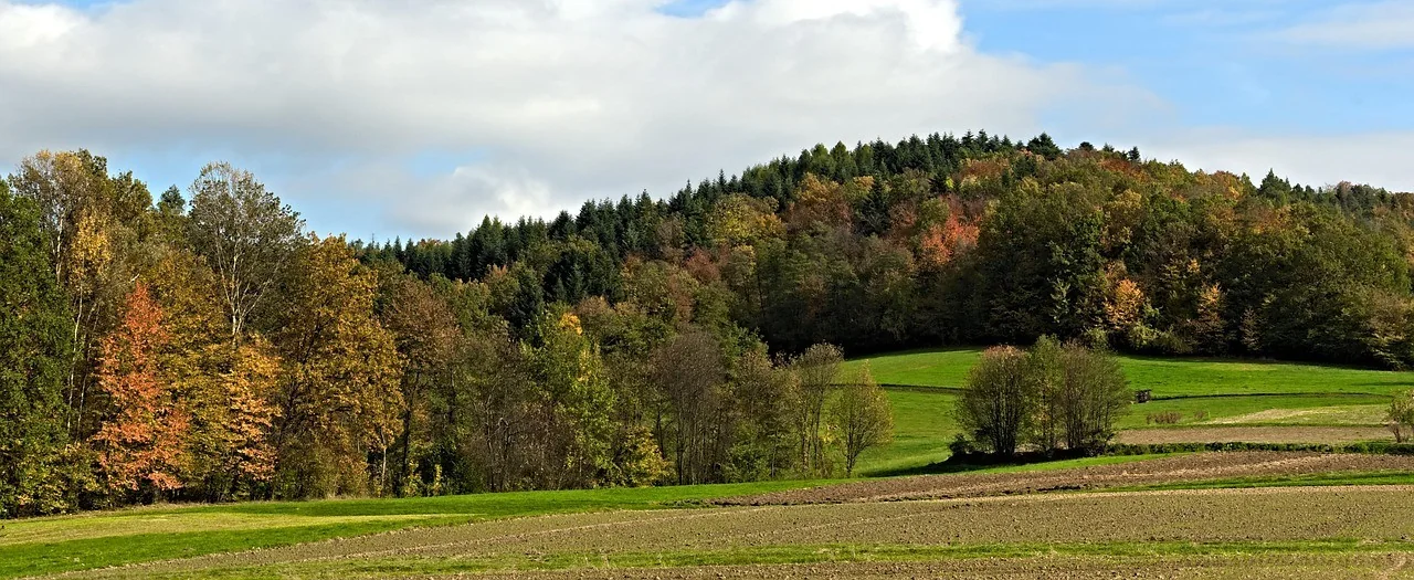 K005-02__beskidy_szyndzielnia_05