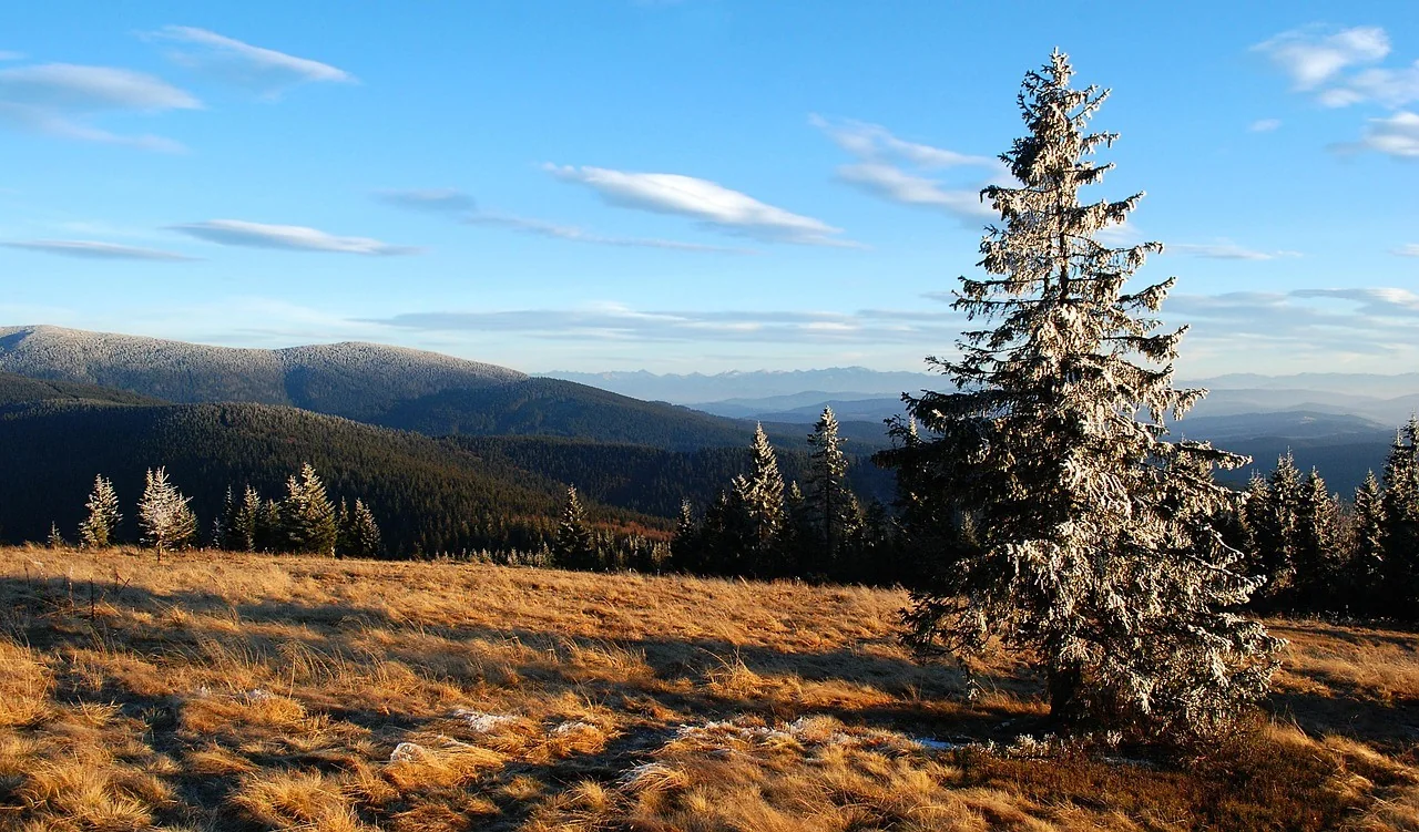 K005-04__beskidy_czantoria-i-koniakow_02