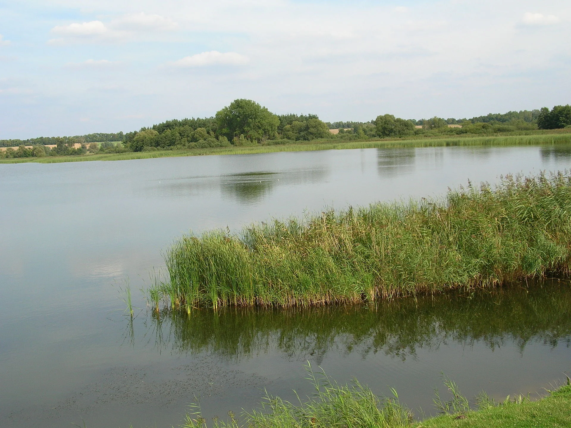 K009-04__biskupin_jezioro_01