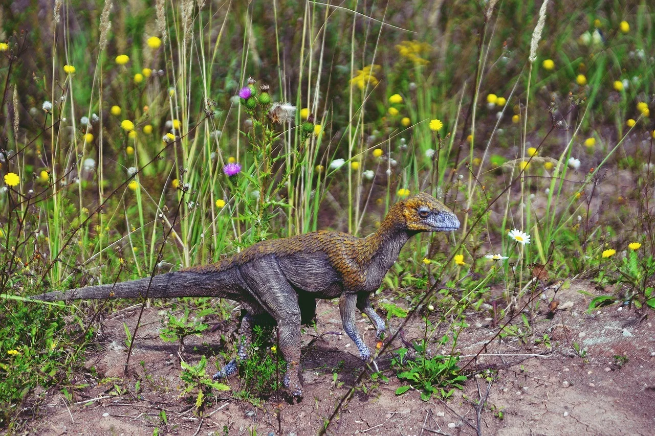 K035-01__krasiejow_dinozaury_02