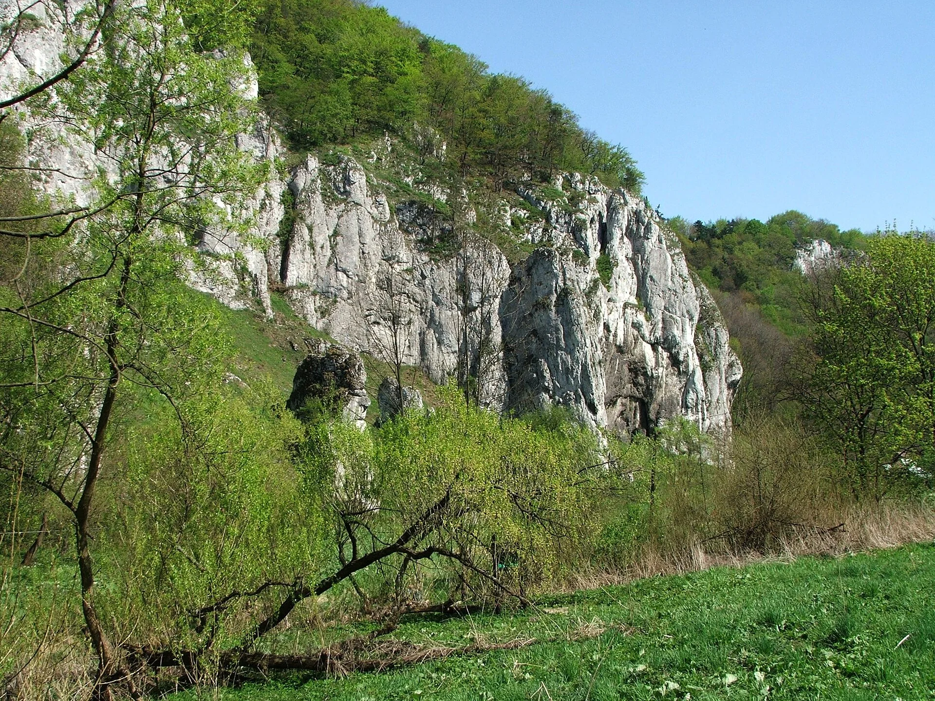 K045-03__ojcow_dolina-pradnika_01