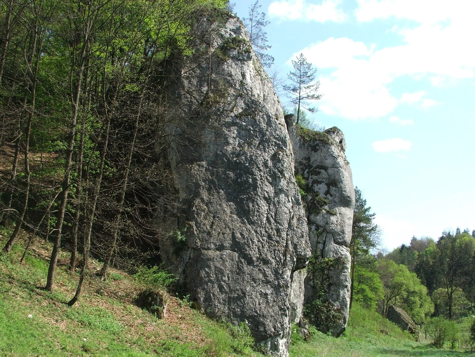 K045-03__ojcow_dolina-pradnika_02