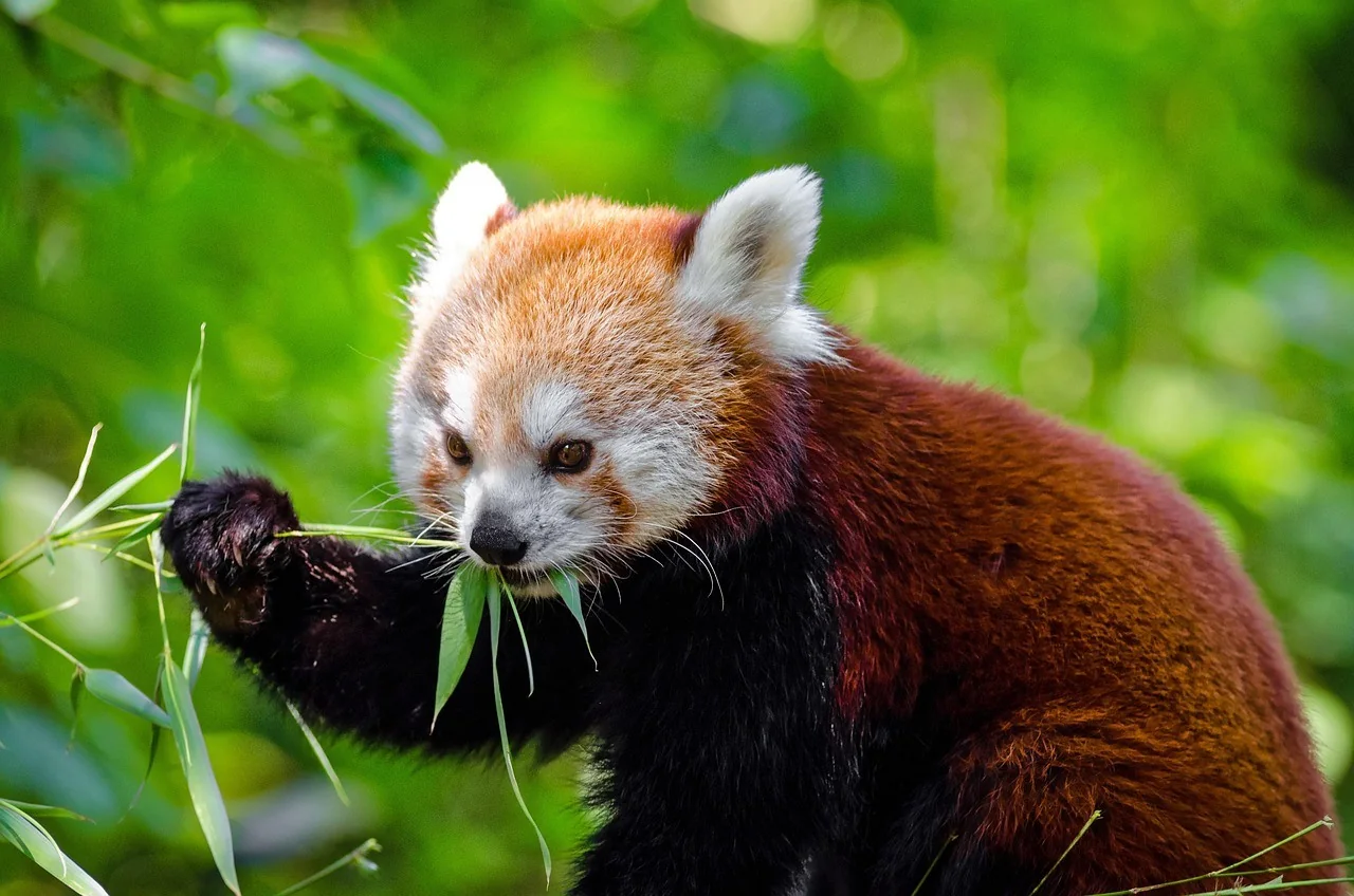 K046-02__opole_zoo_02