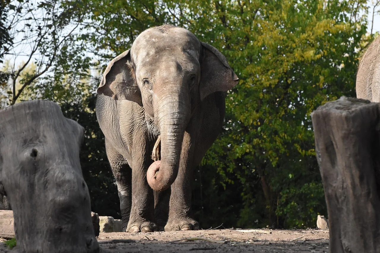 K046-02__opole_zoo_04
