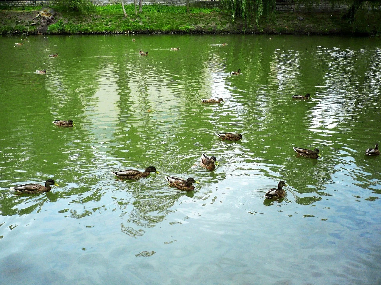 K046-04__opole_zoo_01