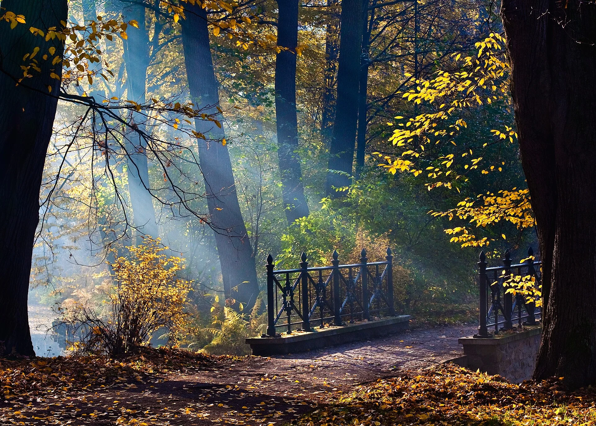 K056-03__pszczyna_park_01